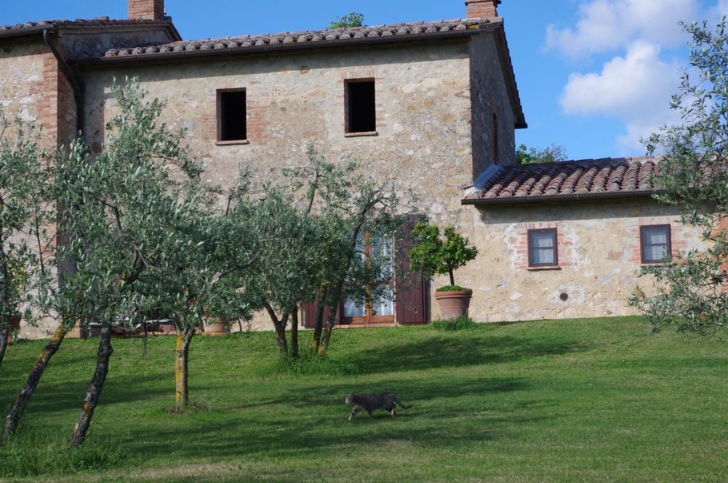 Agriturismo Cerreto Pienza Bagian luar foto