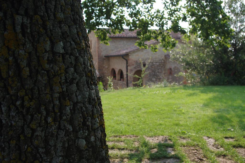 Agriturismo Cerreto Pienza Bagian luar foto