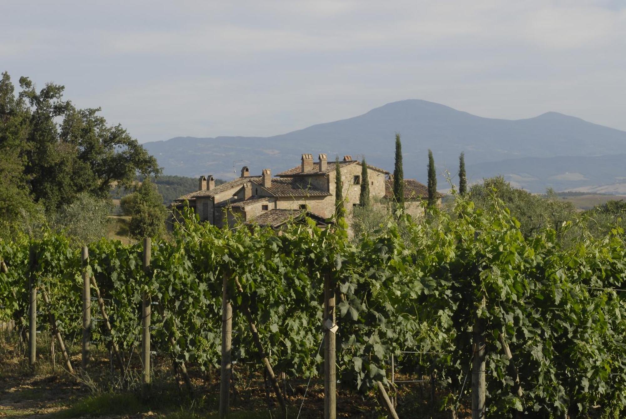 Agriturismo Cerreto Pienza Bagian luar foto