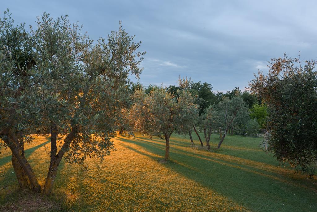 Agriturismo Cerreto Pienza Bagian luar foto